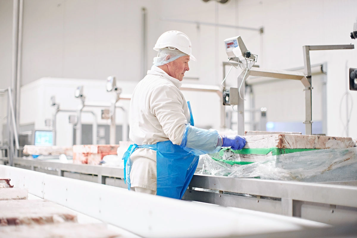 KK__3957.jpg KK__3957.jpg