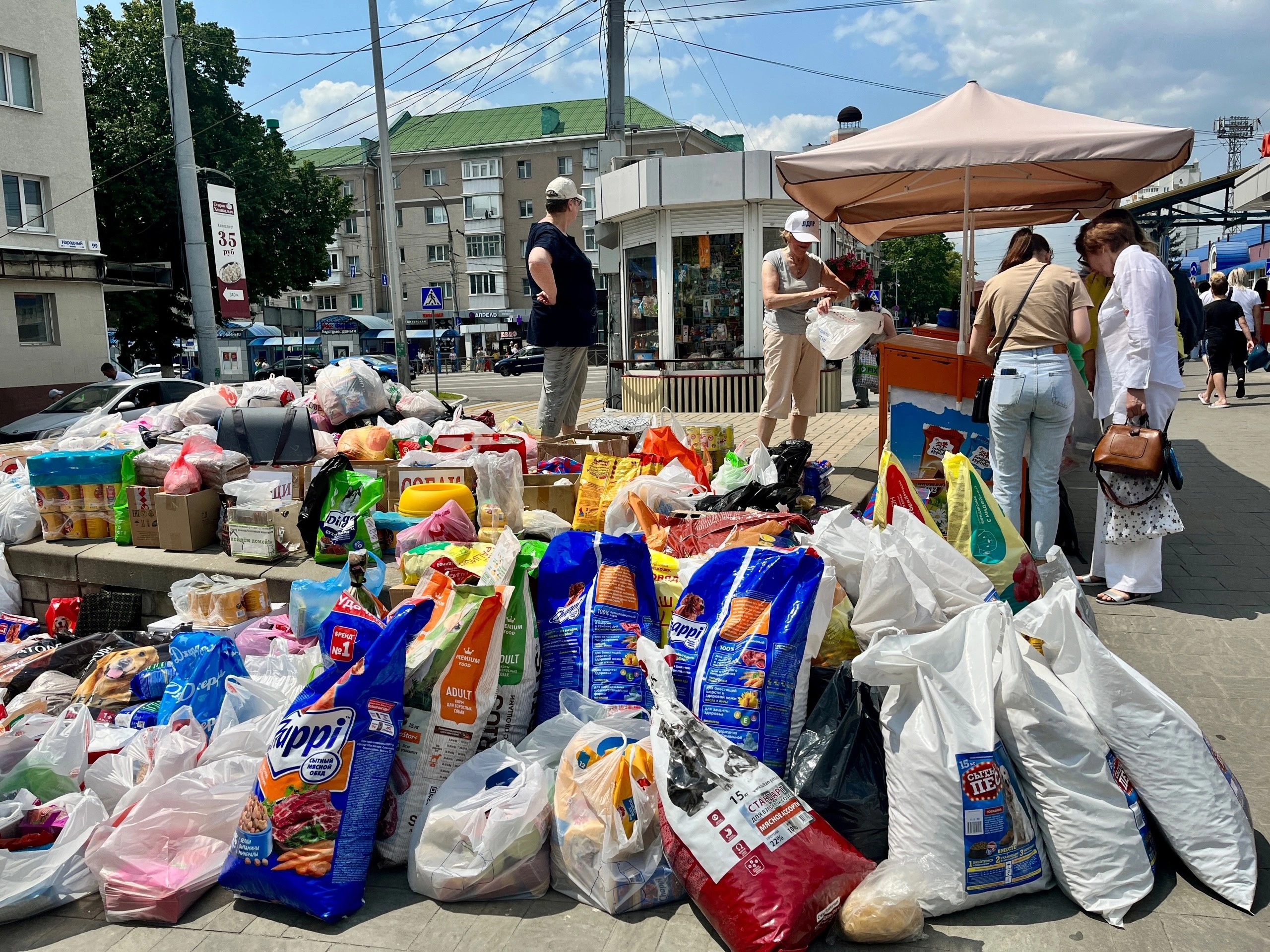 pl2_cFOep3g.jpg pl2_cFOep3g.jpg