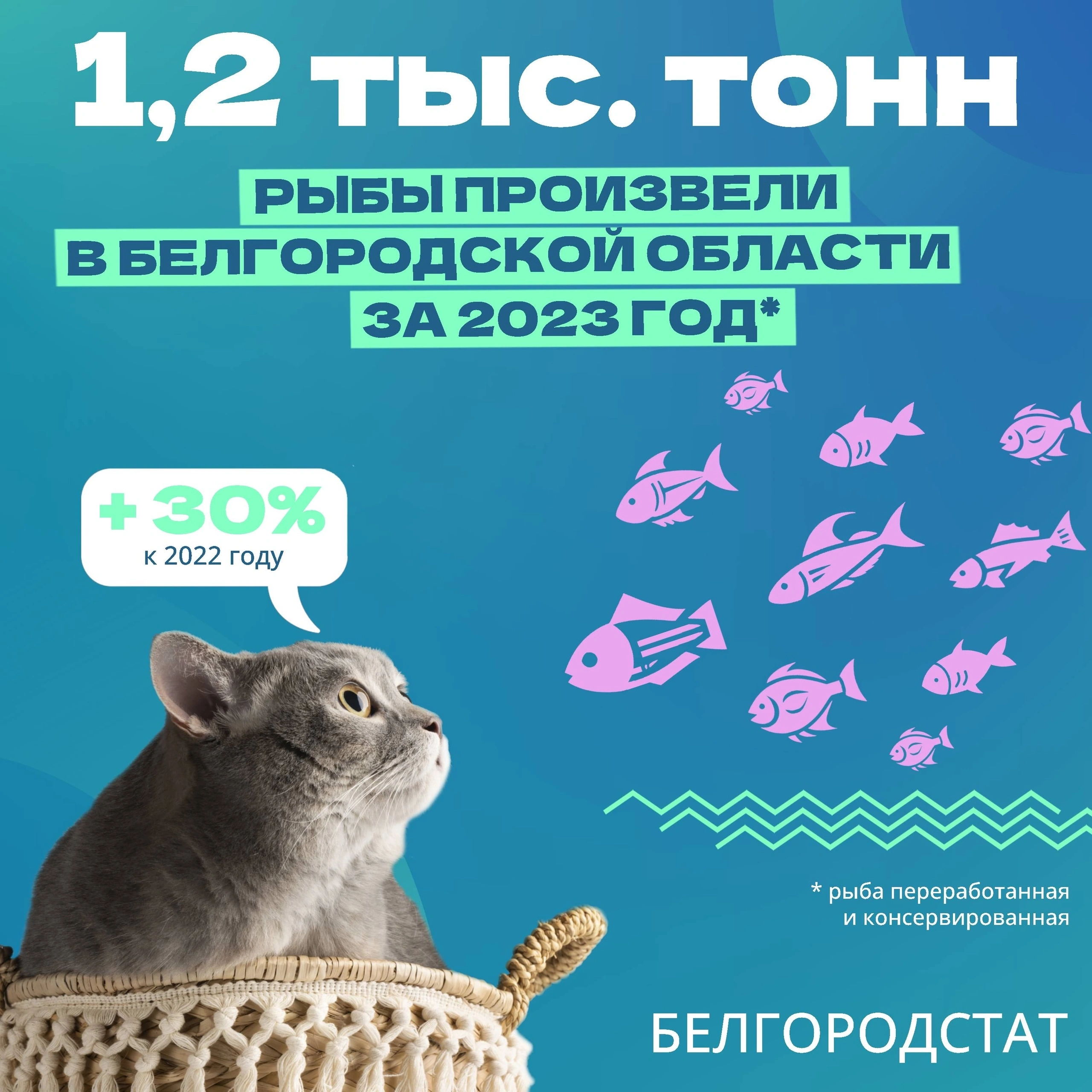 IMG_4046.png IMG_4046.png