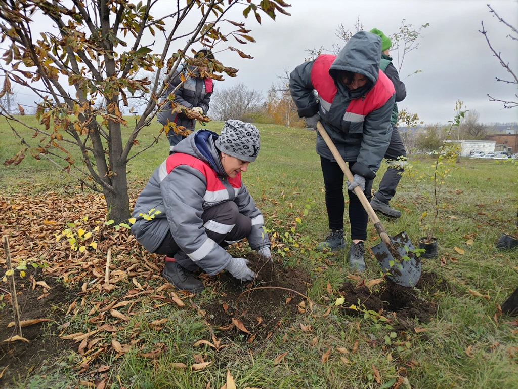 Неприхотливое растение без проблем приживётся даже в бедной почве.jpg