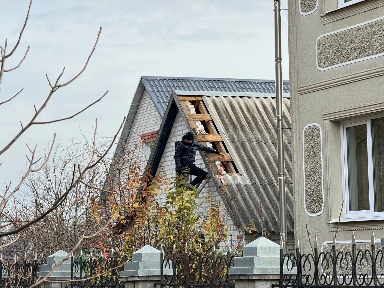 IMG_3365.jpeg IMG_3365.jpeg