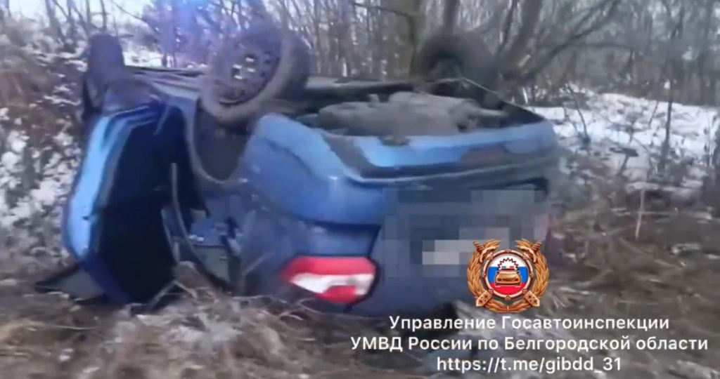 IMG_5665.jpeg IMG_5665.jpeg