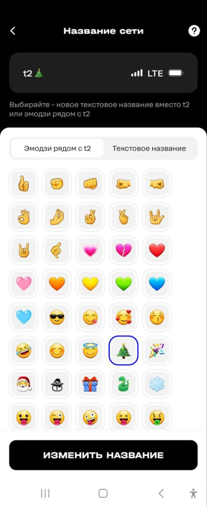 T2_customized name.jpg