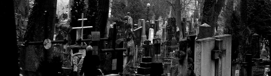 Фото: Сергей Егоров