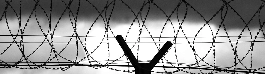 Фото: Сергей Егоров