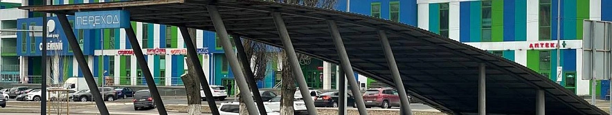 Фото: Людмила Лихолетова