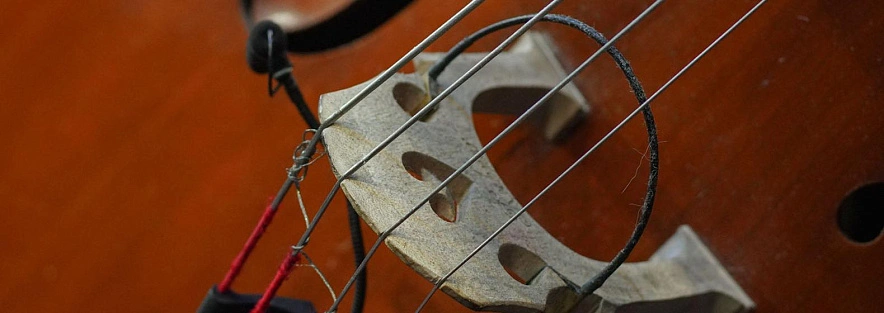 Фото: Андрей Закоморный