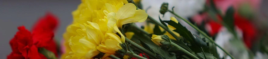 Фото: Антон Вергун 