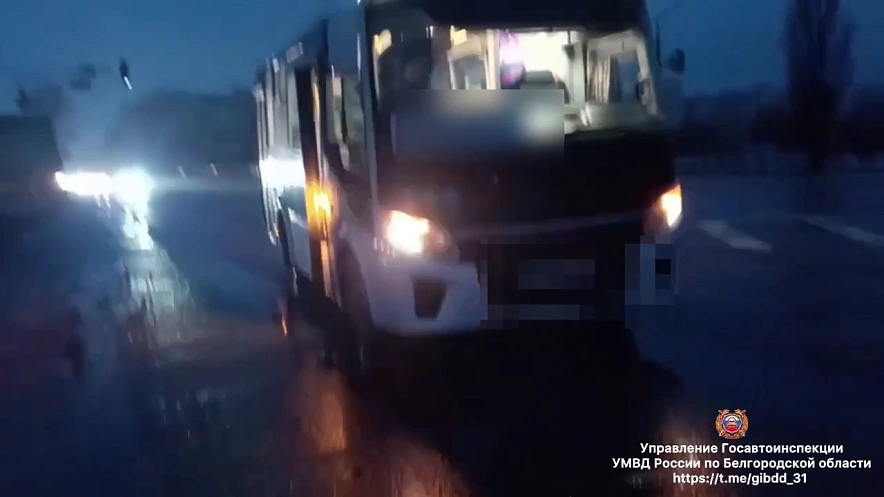 Фото: пресс-служба Госавтоинспекции Белгородской области