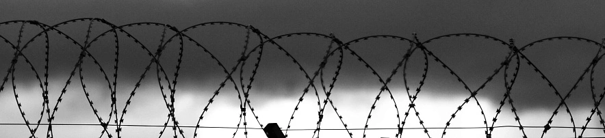 Фото: Сергей Егоров