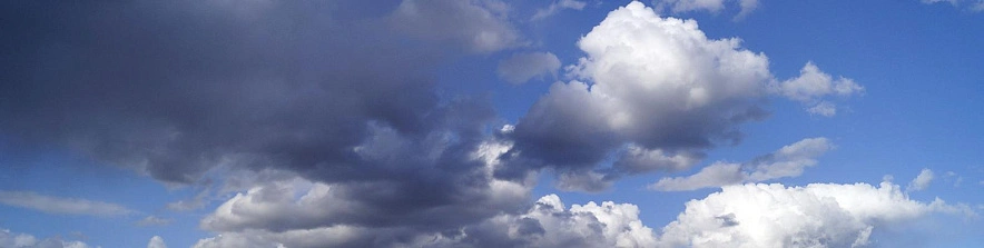 Фото: Сергей Егоров