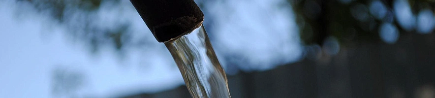 Фото: Сергей Егоров