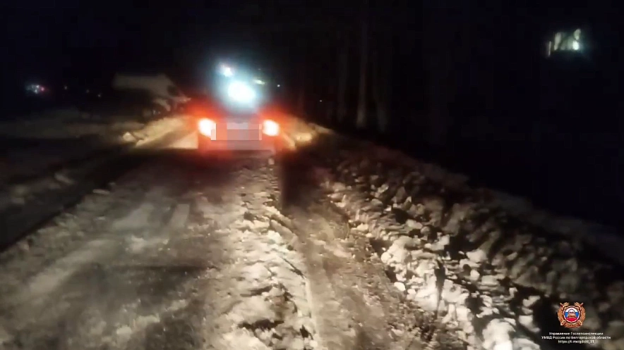 Фото: пресс-служба Госавтоинспекции Белгородской области