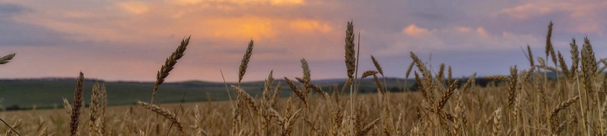 Фото: Юлия Мальцева