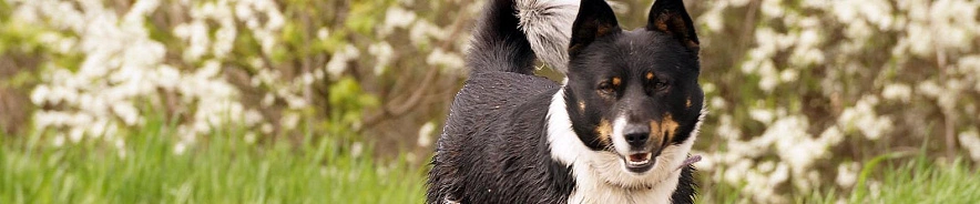 Фото: Сергей Егоров 