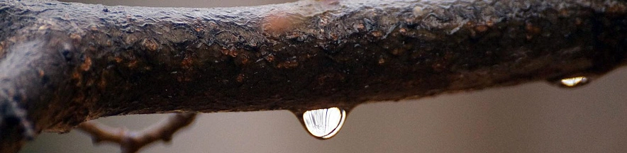 Фото: Сергей Егоров