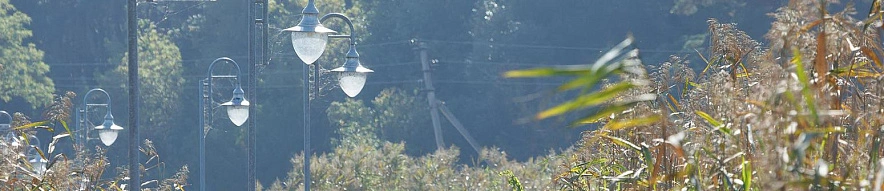 Фото: Антон Вергун