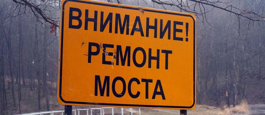 Фото: Дарья Егорова