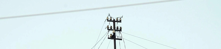 Фото: Сергей Егоров