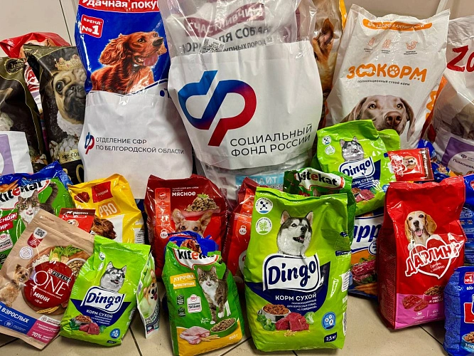 Фото: пресс-служба Отделения СФР по Белгородской области