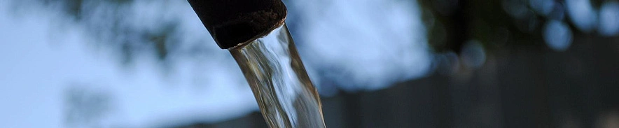 Фото: Сергей Егоров