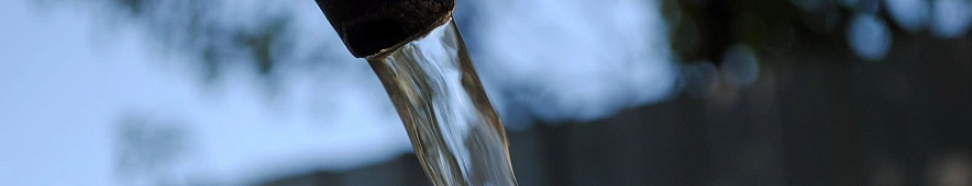 Фото: Сергей Егоров