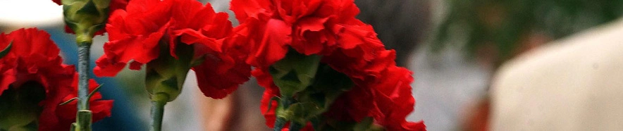 Фото: Сергей Егоров