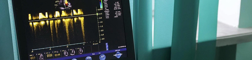 Фото: Антон Вергун