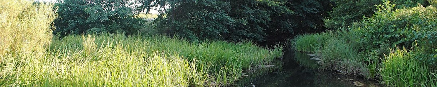 Фото: Сергей Егоров 