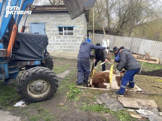 Фото: сетевое СМИ Старого Оскола «Оскольский край» 