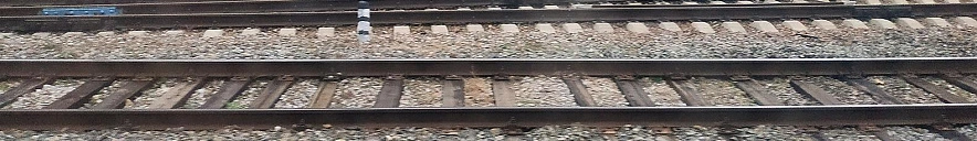 Фото: Сергей Егоров