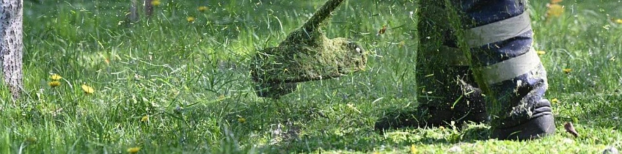 Фото: телеграм-канал Валентина Демидова