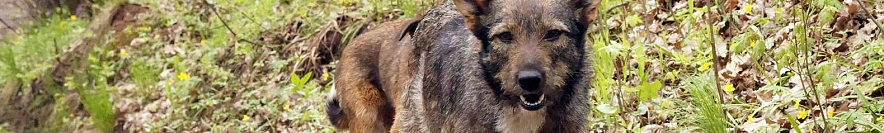 Фото: Сергей Егоров