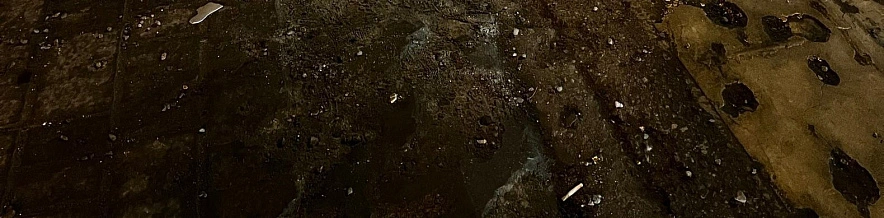 Фото: Анна Григор