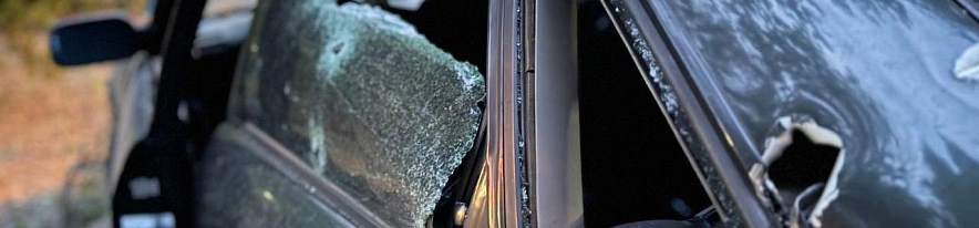 Фото: соцсети Вячеслава Гладкова