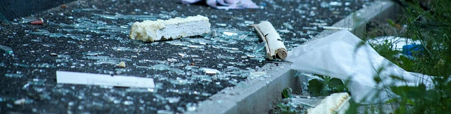 Фото: Валерия Алисова