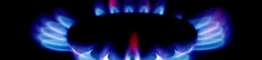 Фото: Сергей Егоров 