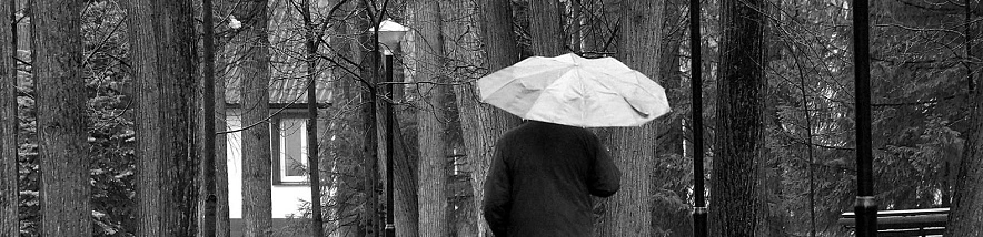 Фото: Сергей Егоров