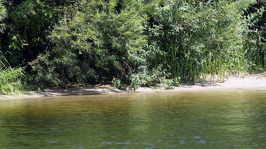 Фото: Сергей Егоров