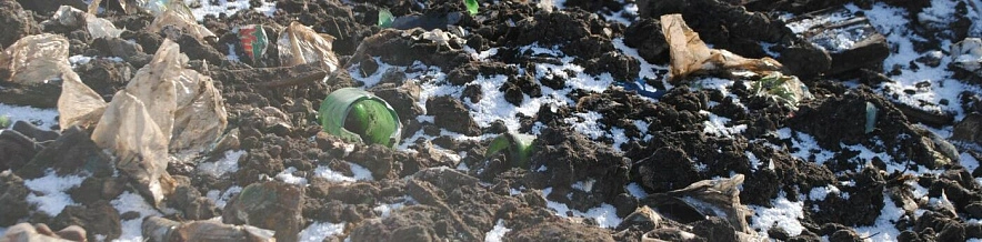 Фото: Анна Григор