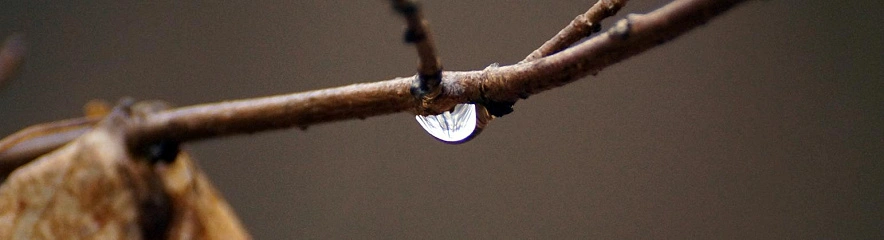 Фото: Сергей Егоров
