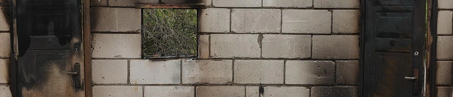 Фото: Антон Вергун