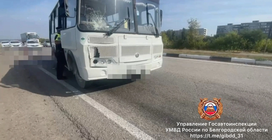 Фото: ГИБДД региона