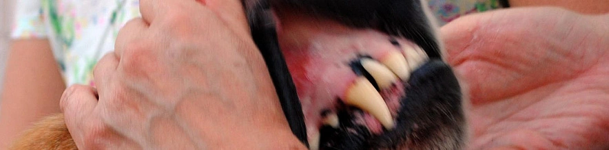 Фото: Сергей Егоров 