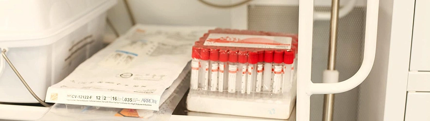 Фото: Валерия Алисова