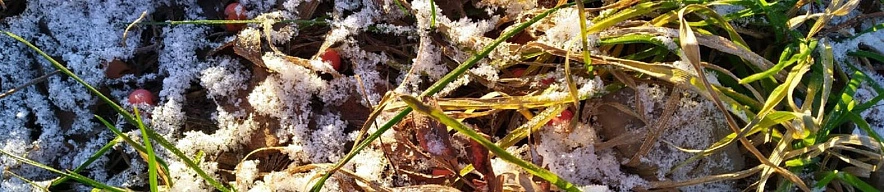 Фото: Сергей Егоров