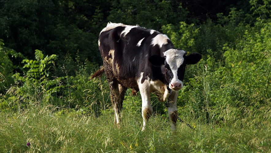Фото: Сергей Егоров