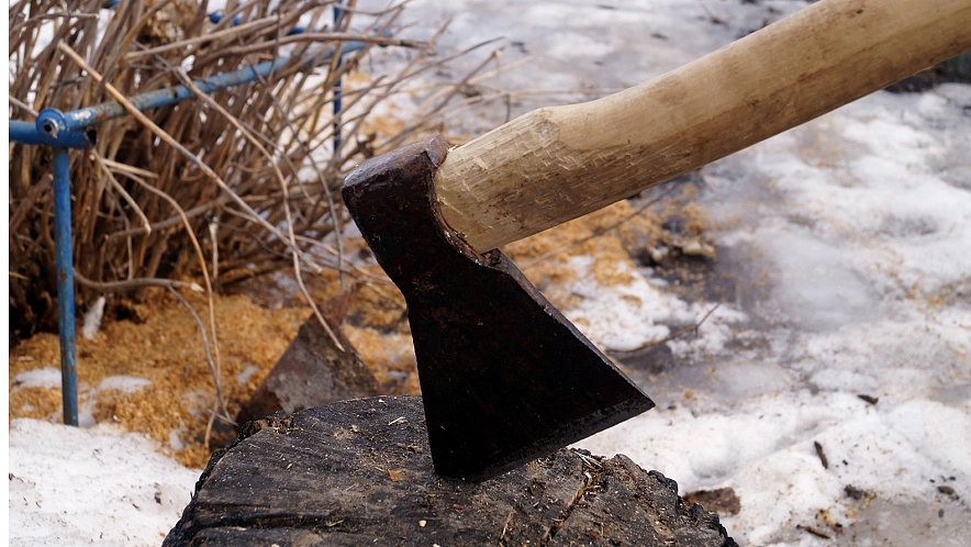 Фото: Сергей Егоров