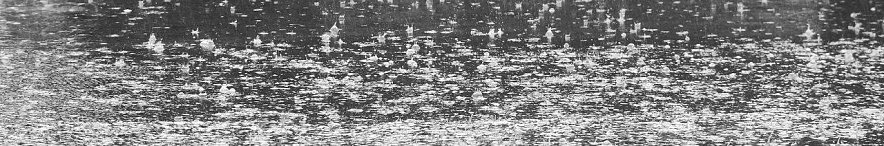 Фото: Сергей Егоров