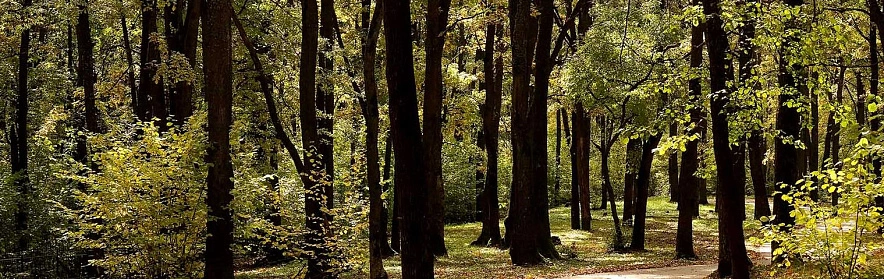 Фото: Сергей Егоров